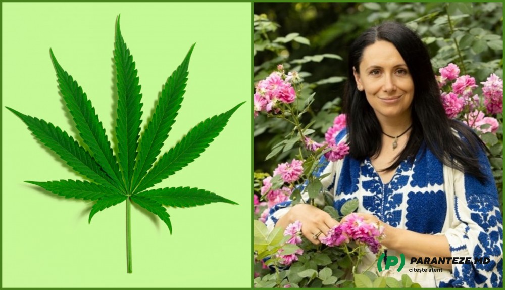 DOC // Poliția a confirmat spusele lui Cavcaliuc. Nata Albot a fost prinsă la aeroport cu marijuană